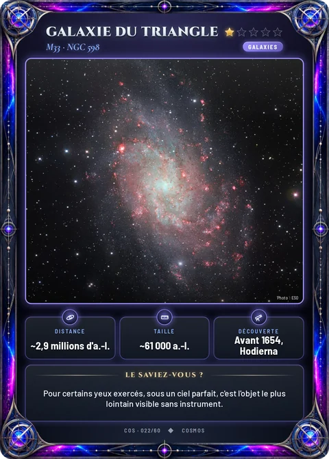 Galaxie du Triangle