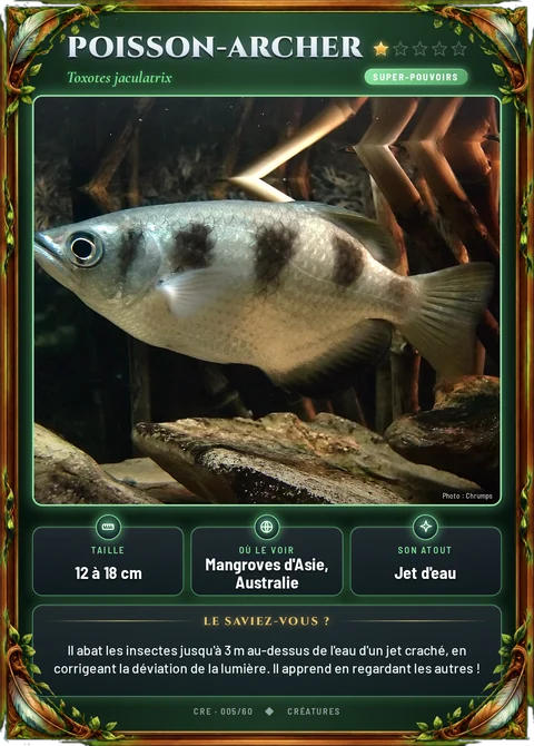 Poisson-archer