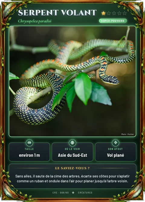 Serpent volant