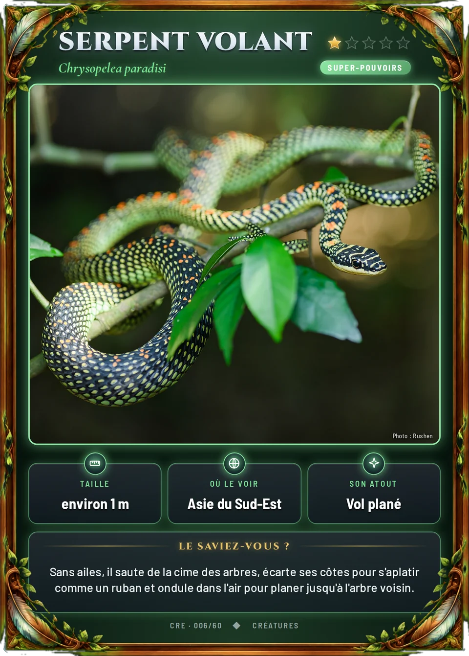 Serpent volant
