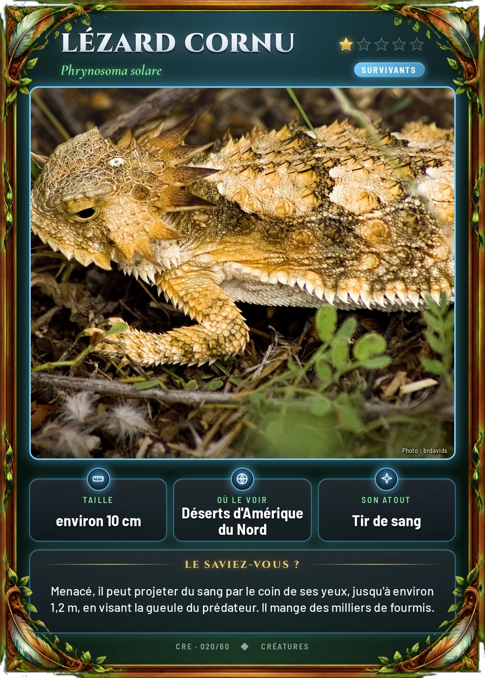 Lézard cornu