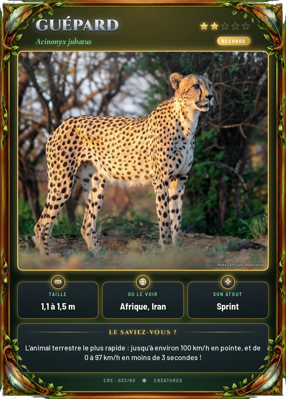 Guépard