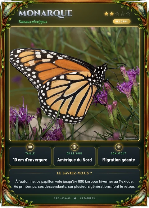 Monarque