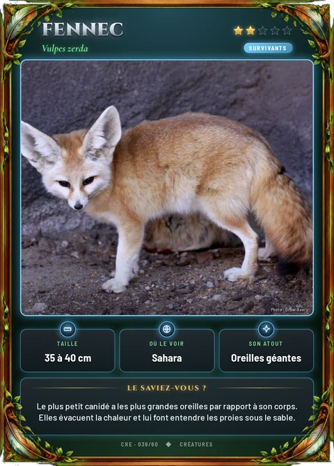 Fennec