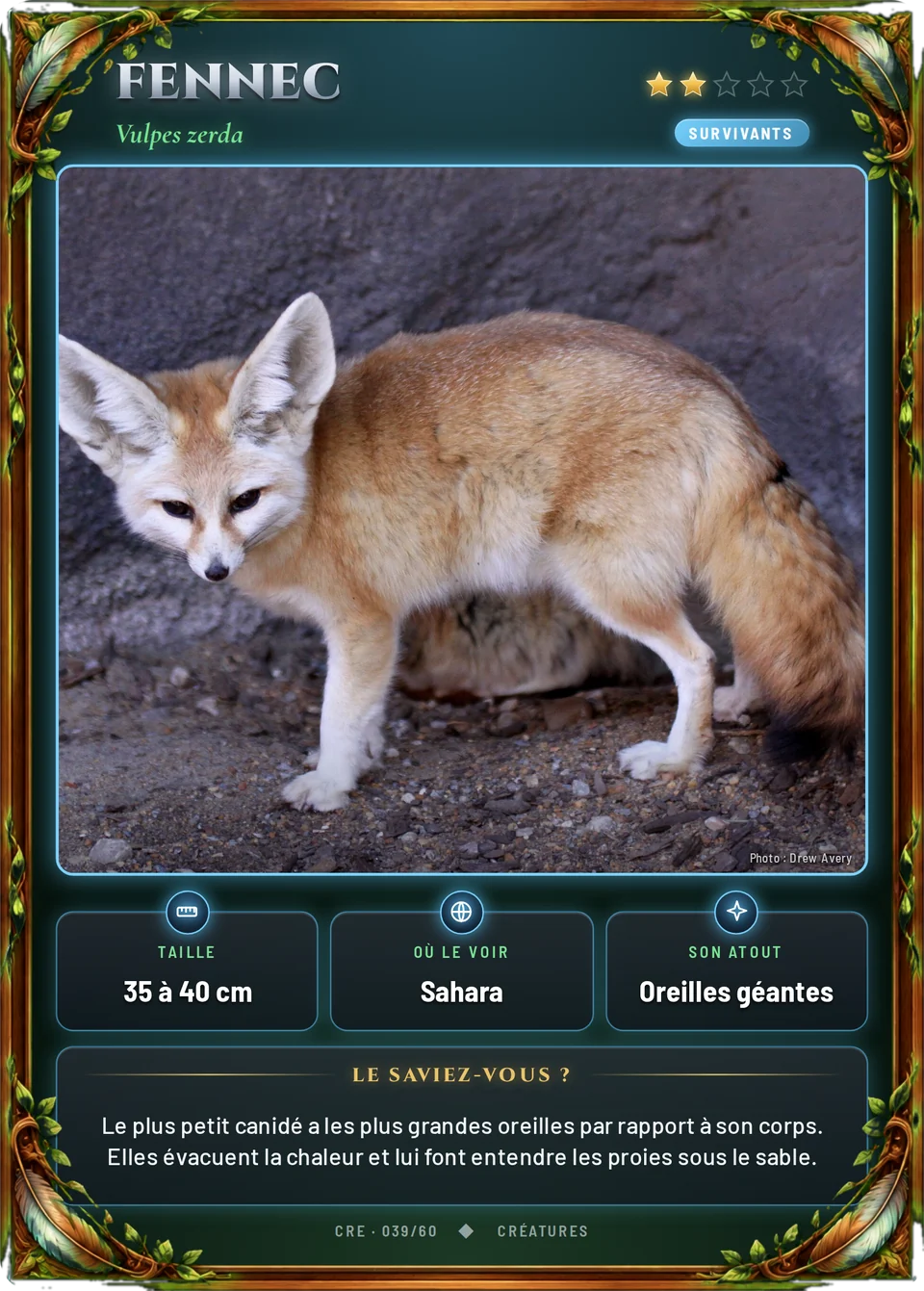 Fennec