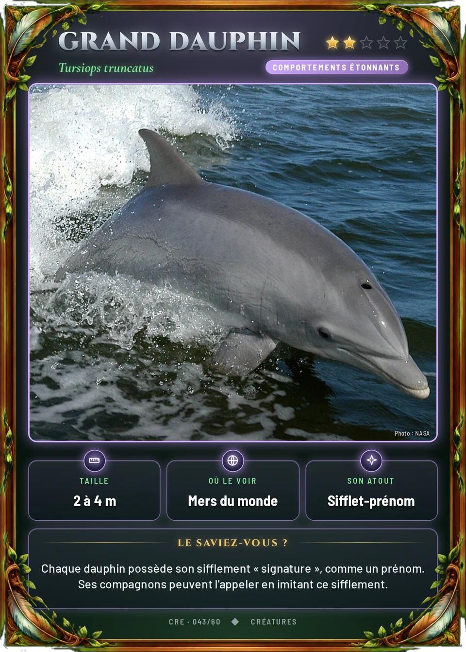 Grand dauphin