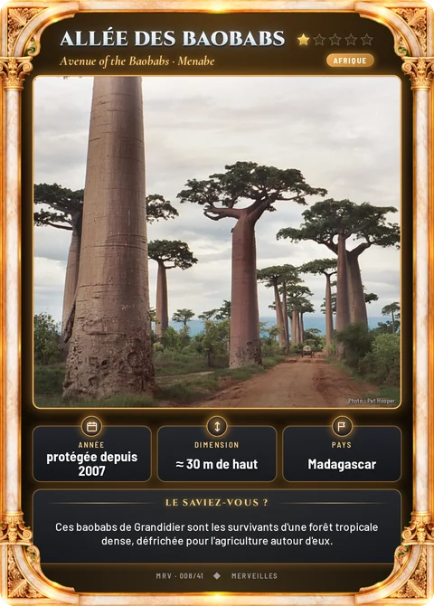 Allée des Baobabs
