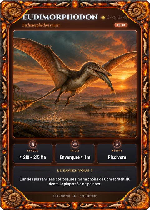 Eudimorphodon