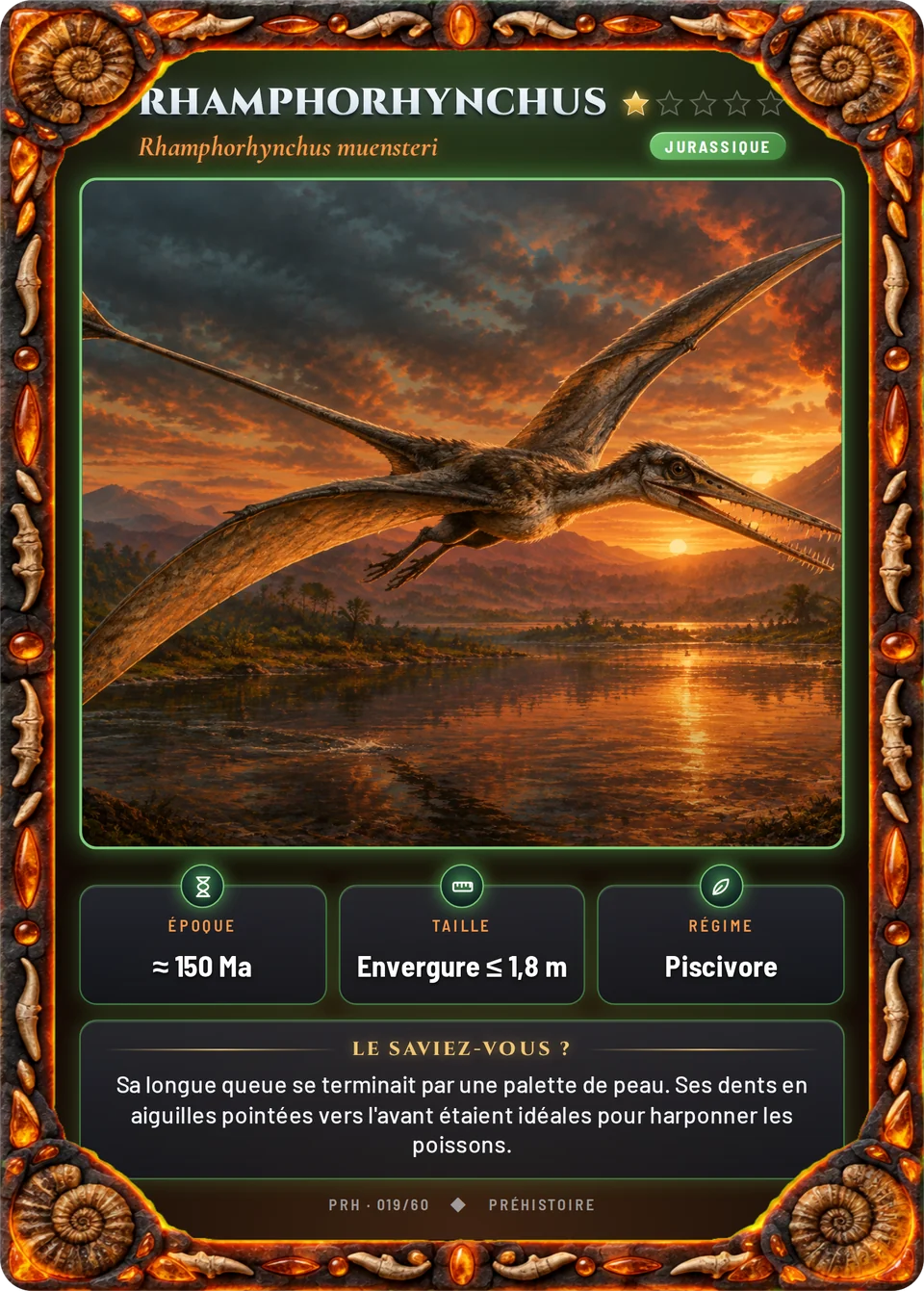 Rhamphorhynchus