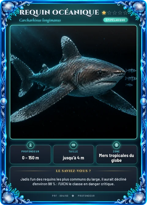 Requin océanique