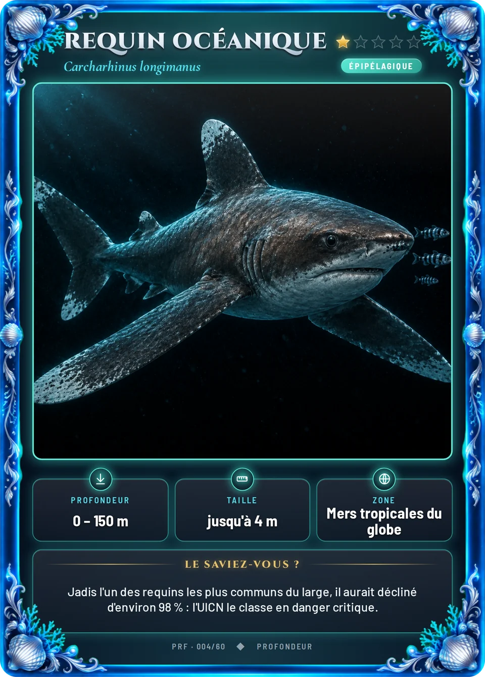 Requin océanique