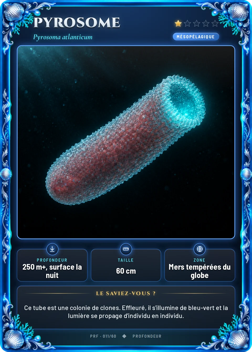 Pyrosome