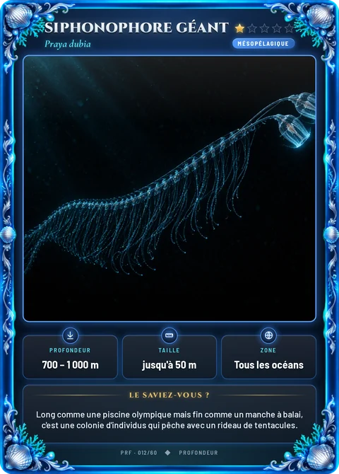 Siphonophore géant