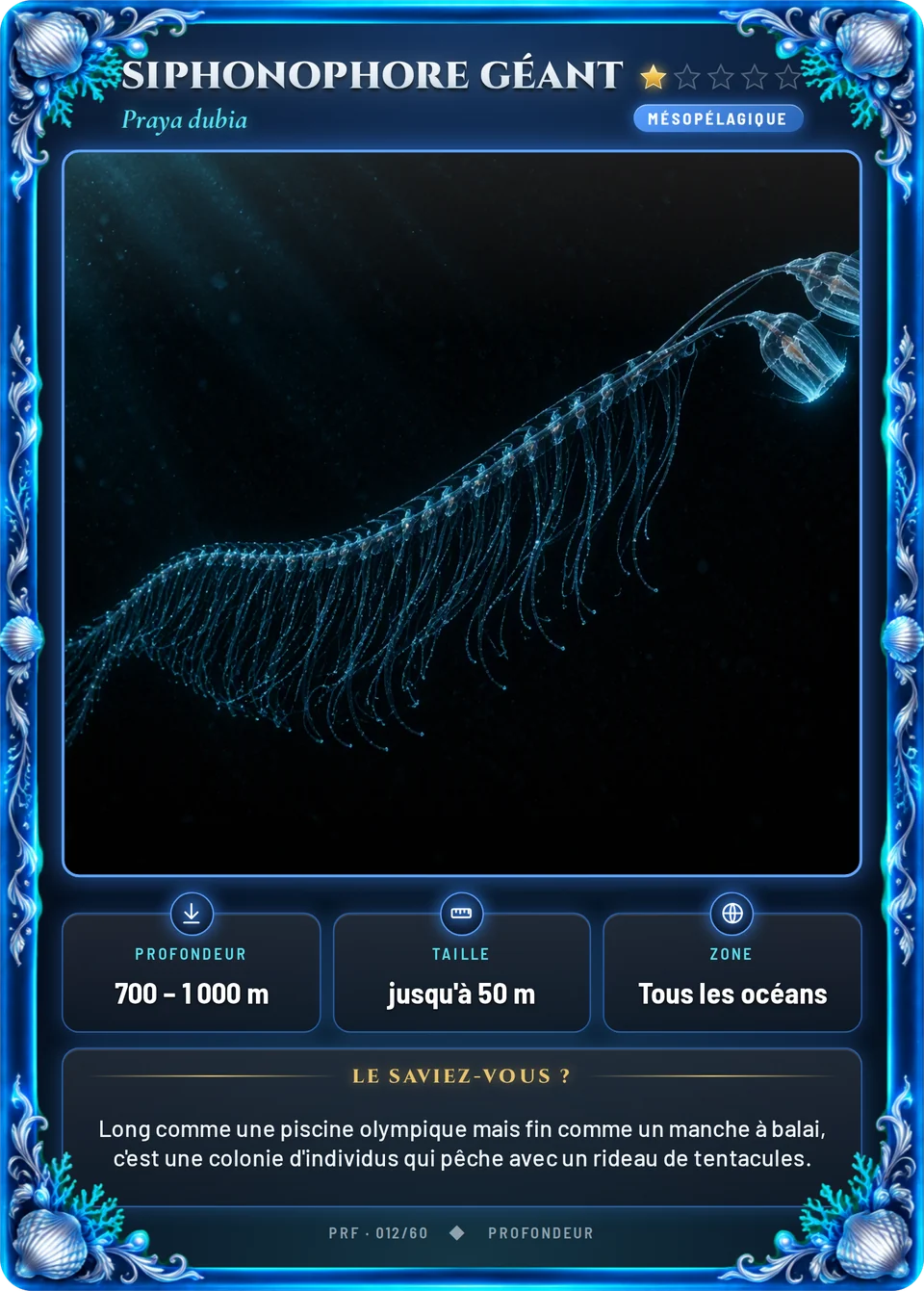 Siphonophore géant
