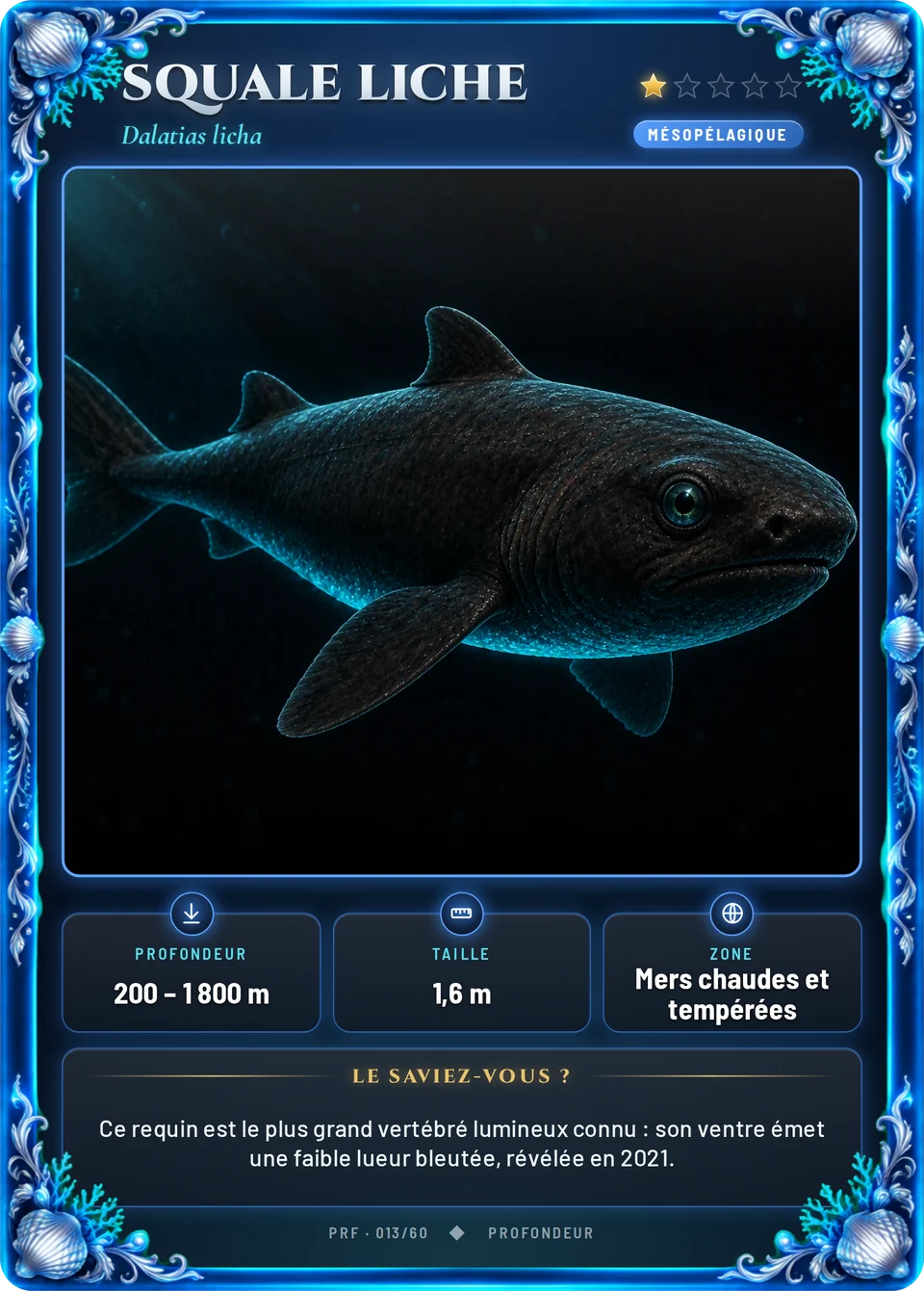 Squale liche