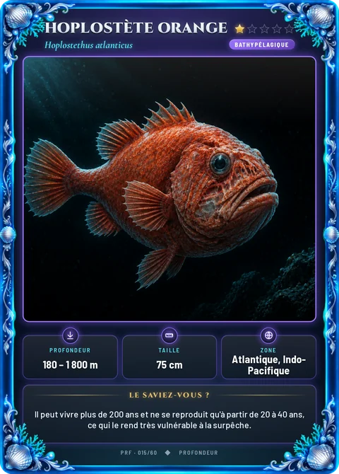 Hoplostète orange