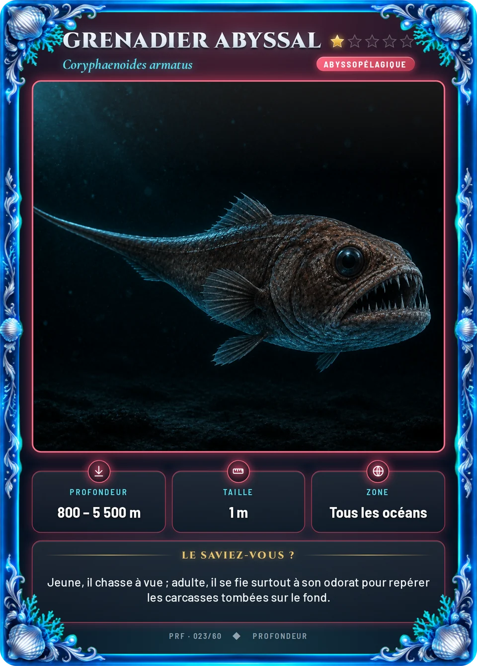 Grenadier abyssal