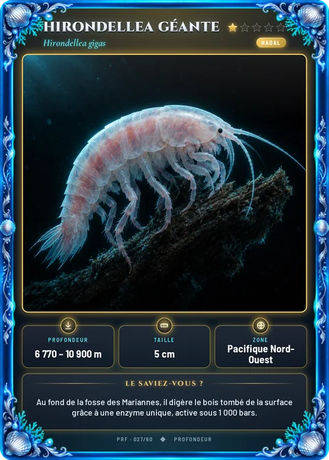 Hirondellea géante