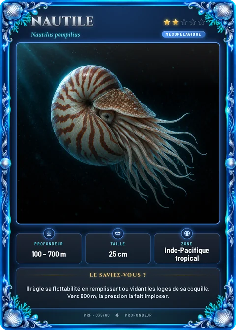 Nautile