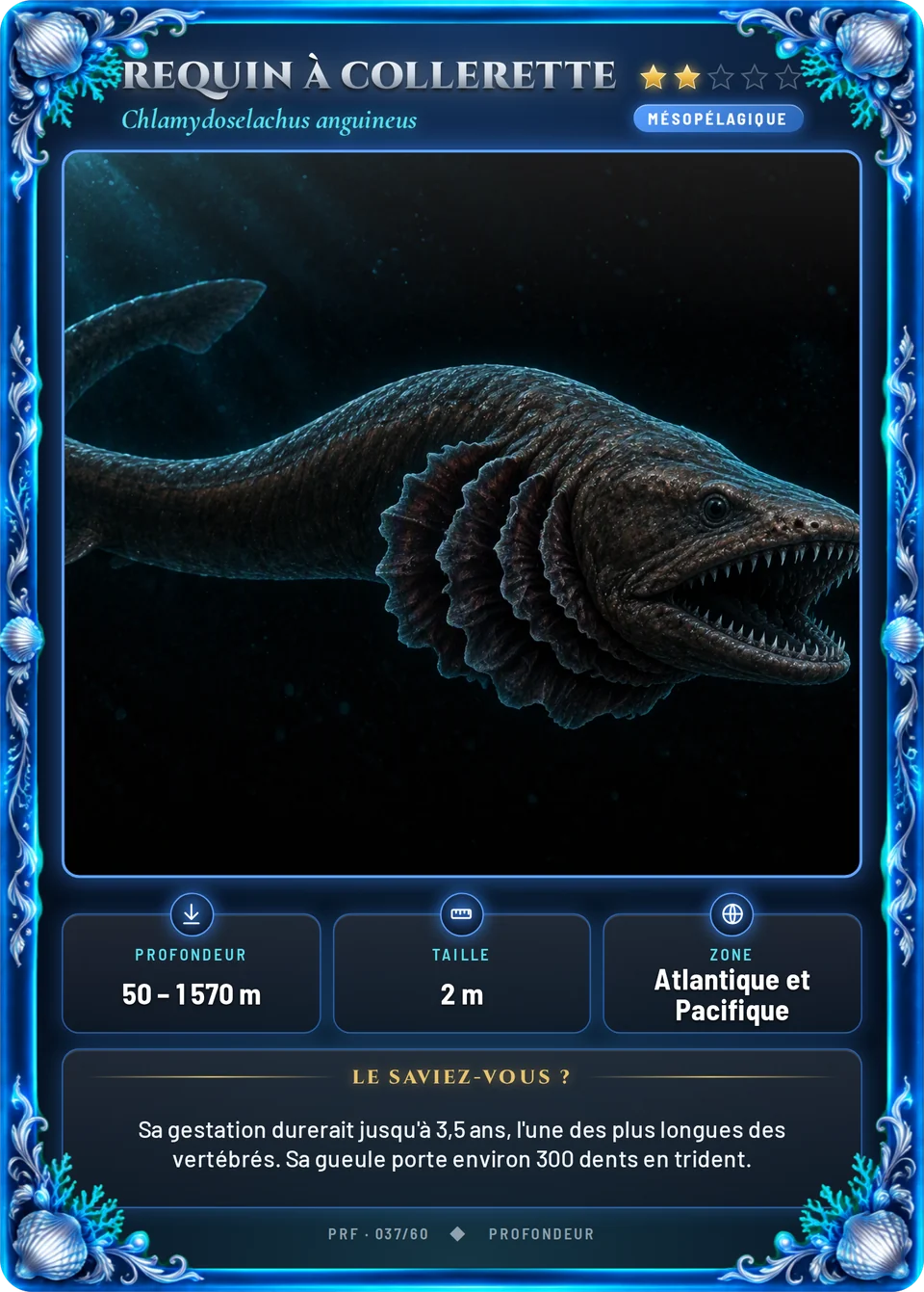 Requin à collerette