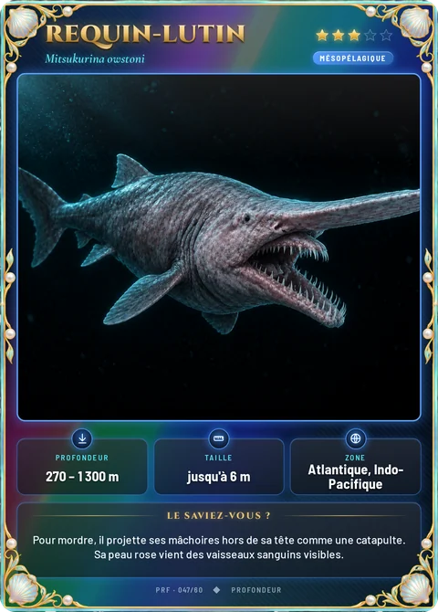 Requin-lutin