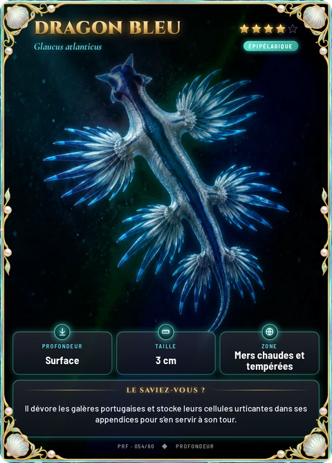 Dragon bleu